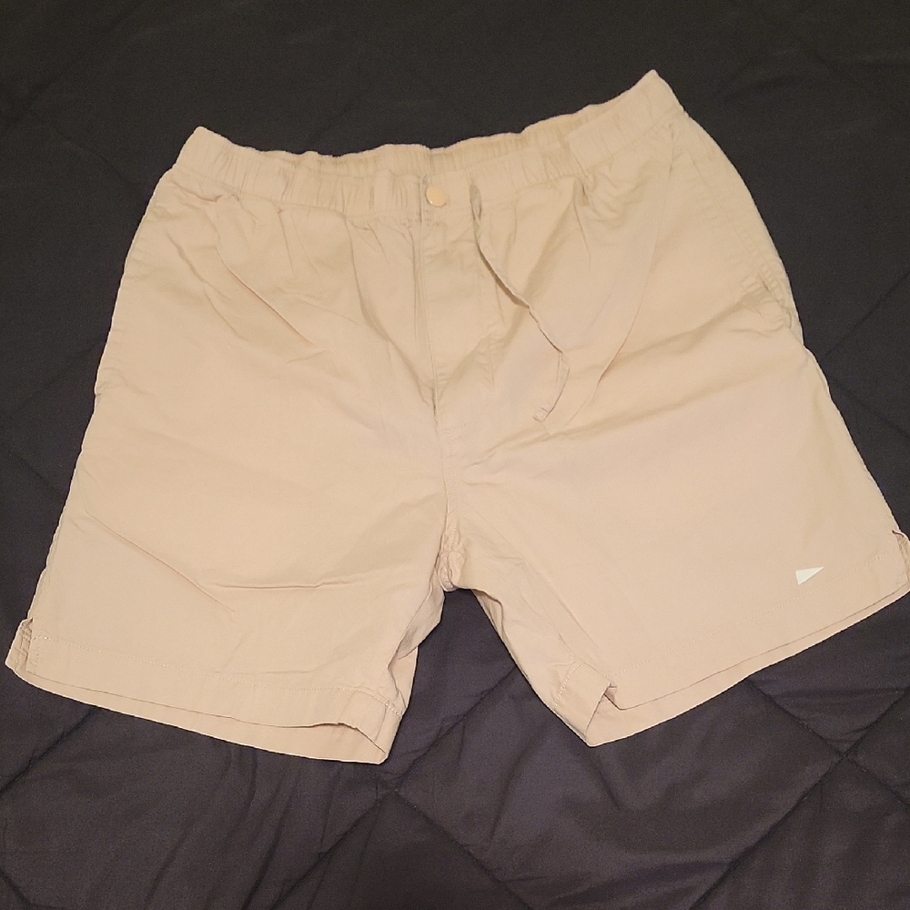 Pilgrim Men's Flat Front Shorts - Beige